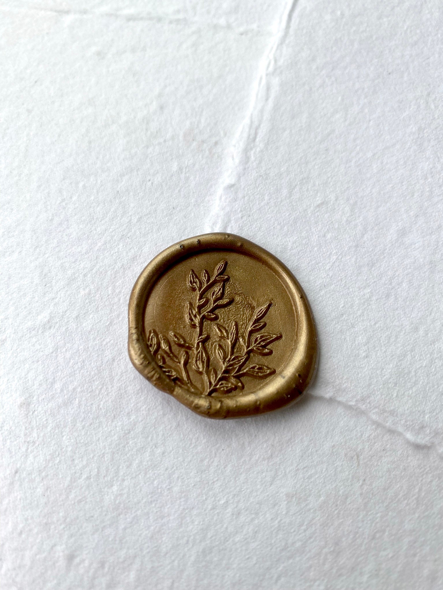 zoomed in leaf wax seal in bronze on white handmade paper envelope 