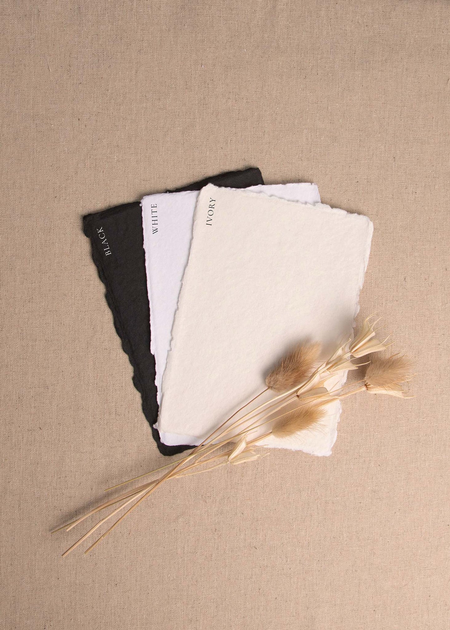 Fanned pile of Black, White, Ivory handmade paper with deckle edge surrounded by dried flowers